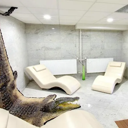 Relax רייקה טפליצה